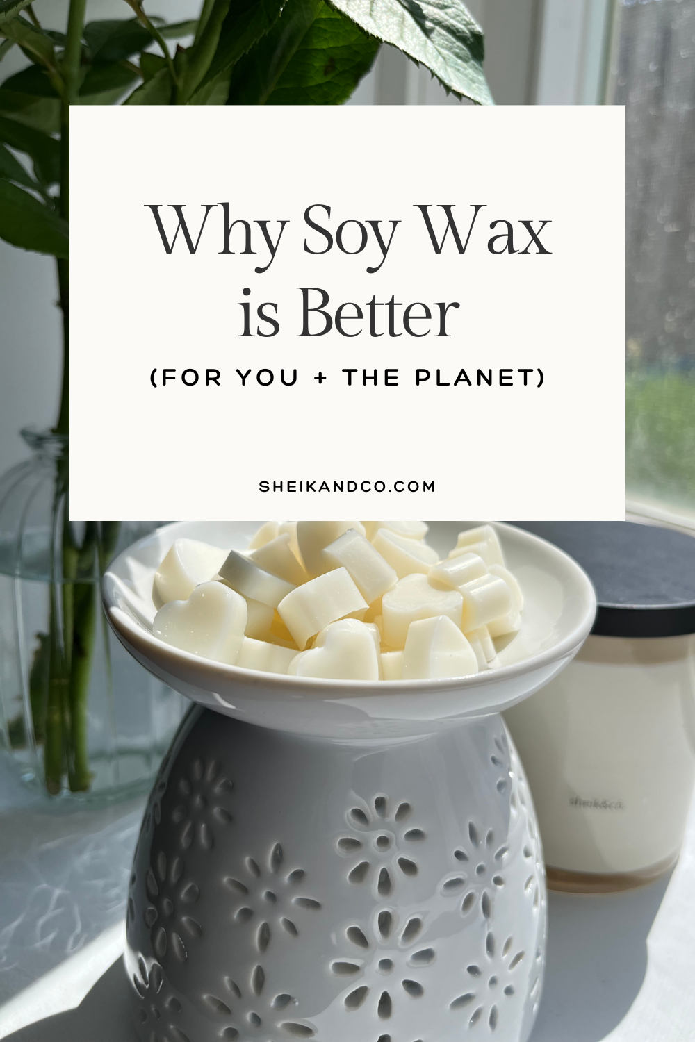 Why Soy Wax is Better (For You + the Planet)