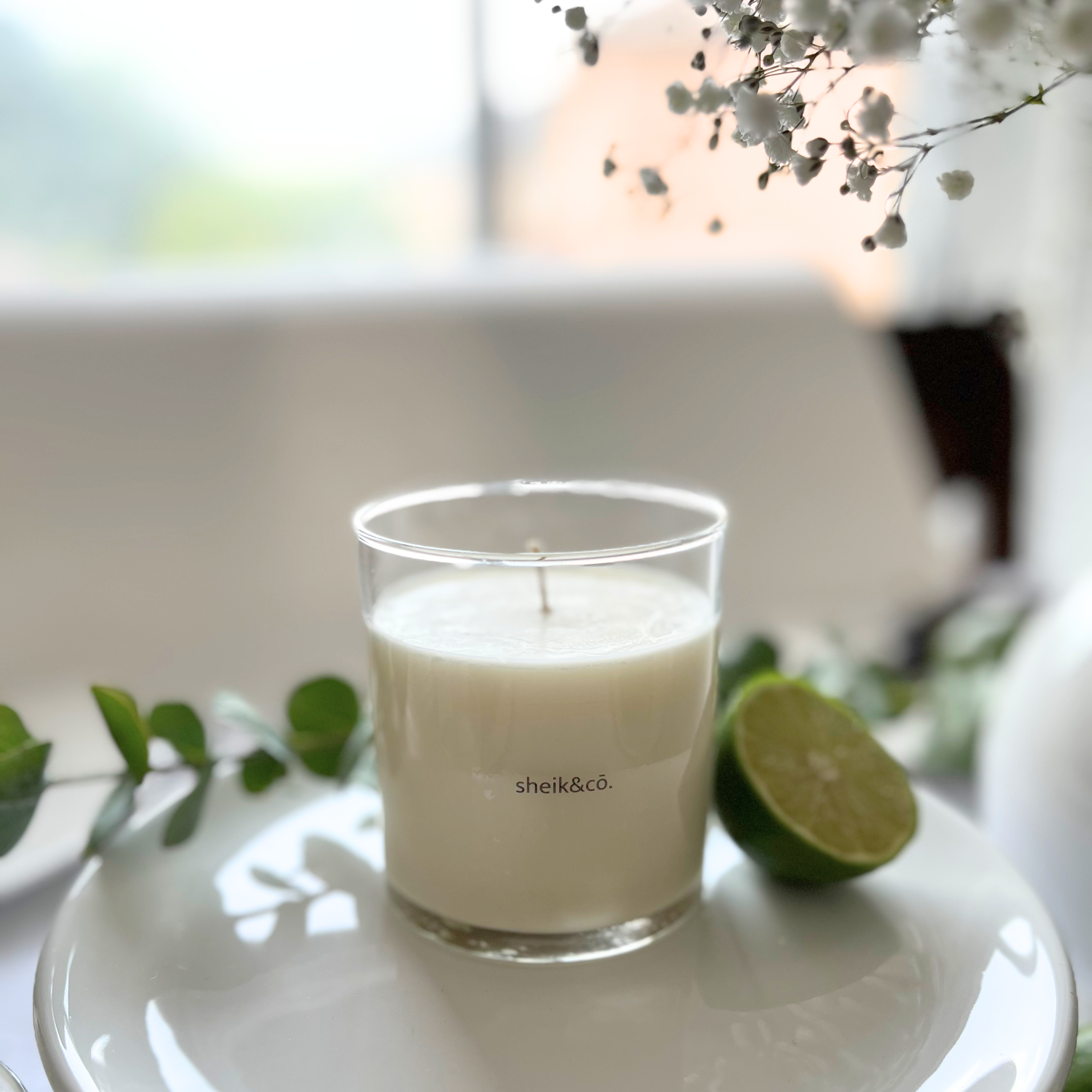 eucalyptus soy candle